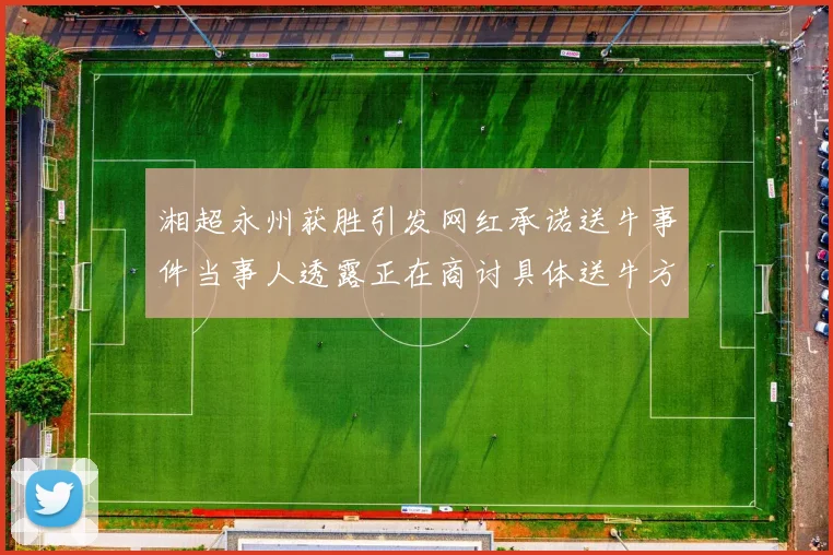 湘超永州获胜引发网红承诺送牛事件当事人透露正在商讨具体送牛方案